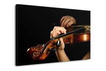 Fotoobraz - Huslista zs50