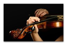 Fotoobraz - Huslista zs50