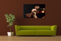 Fotoobraz - Huslista zs50