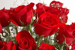 Obraz na stenu ZS - bez pomeru strán