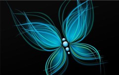 Obraz na stenu ZS - bez pomeru strán