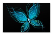 Obraz Motýľ zs520