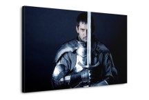 Obraz na stenu - V zbroji zs545