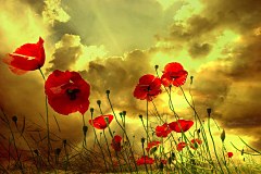 Obraz na stenu ZS - bez pomeru strán