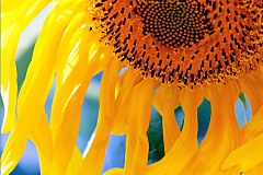 Obraz na stenu ZS - bez pomeru strán