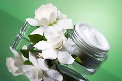 Obraz na stenu ZS - bez pomeru strán