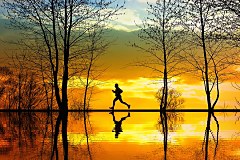 Obraz na stenu ZS - bez pomeru strán