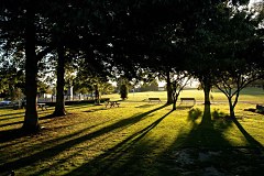Obraz na stenu ZS - bez pomeru strán