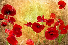 Obraz na stenu ZS - bez pomeru strán