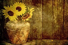 Obraz na stenu ZS - bez pomeru strán