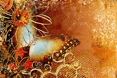 Obraz na stenu ZS - bez pomeru strán