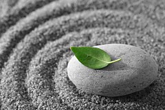 Obraz na stenu ZS - bez pomeru strán