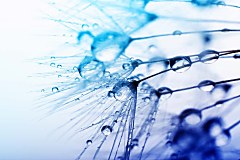 Obraz na stenu ZS - bez pomeru strán