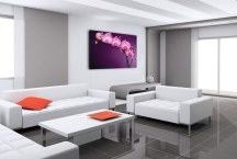 Obraz Orchidea Fialová zs85