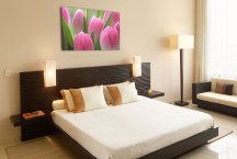 Obraz Tulipány zs86