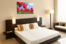 Obrazy Tulipány červené zs89