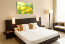 Obraz Poľné Kvety zs91