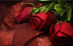 Obraz na stenu ZS - bez pomeru strán