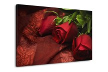 Ruže - Obraz na stenu zs92