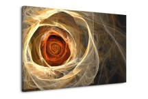 Obraz - Ruža abstraktná zs95