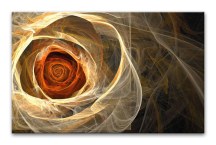 Obraz - Ruža abstraktná zs95