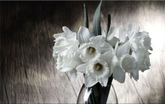 Obraz na stenu ZS - bez pomeru strán