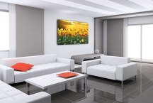 Tulipány - Obraz na stenu zs98