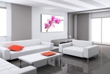 Orchidea - Obraz na stenu zs99