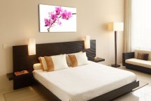 Orchidea - Obraz na stenu zs99