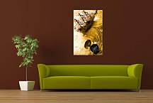 Obraz Stará plachetnica zv24070