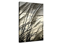 Obraz na stenu - Klasy zv24100