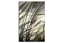 Obraz na stenu - Klasy zv24100