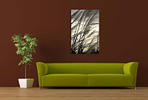 Obraz na stenu - Klasy zv24100