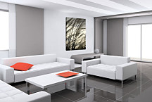 Obraz na stenu - Klasy zv24100