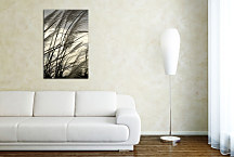 Obraz na stenu - Klasy zv24100