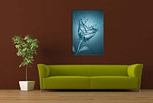 Obraz Kvet z vody zv24210