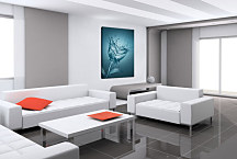 Obraz Kvet z vody zv24210