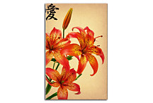 Obraz Ľalie zv24225