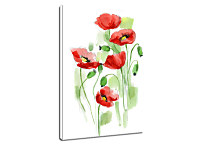 Obraz Maky zv24244