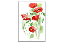Obraz Maky zv24244
