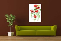 Obraz Maky zv24244