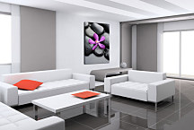 Obrazy SPA - Kvet na kameni zv24255