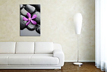 Obrazy SPA - Kvet na kameni zv24255