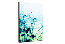 Obraz Tyrkysový kvet zv24298