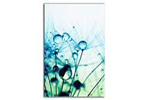 Obraz Tyrkysový kvet zv24298