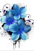 Obrazy Kvety modré zv476