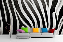 Čiernobiela fototapeta Zebra 123 - latexová