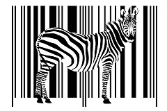 Čiernobiela fototapeta Zebra 3181 - samolepiaca